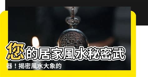 豹 風水|【豹 風水】揭密豹風水：居家擺放豹有何玄機？